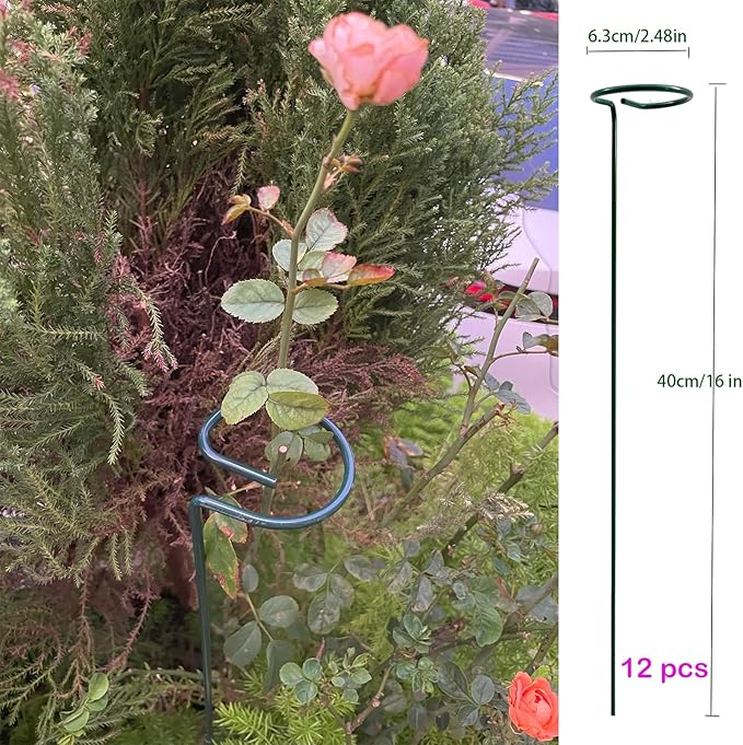 12 Pack 16 inch Plant Support Stakes, Metal Garden Support Stick Support Ring, Plant Sticks for Indoor Outdoor Single Stem Flower Peony, Orchid, Lily, Amaryllis, Rose, Tomato Pepper Plants Supports