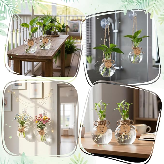 Plastic Window Propagation Stations - 9 Pack Hanging Plant Propagation Vases Clear Jars with Hook Thank You Tag Cleaning Brush for Women Plant Lover Garden Home Office Decor Housewarming Gifts
