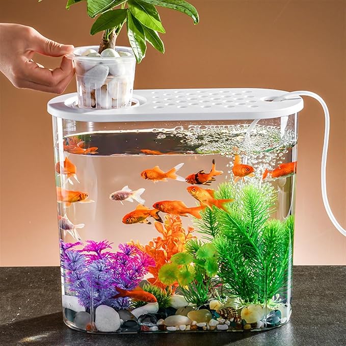 Decor Transparent Acrylic Fish Tank with Breathable Lid and Easy to Move Carrying Handle Living Room Office Desktop Decorative Fish Tank Planter Starter(White)