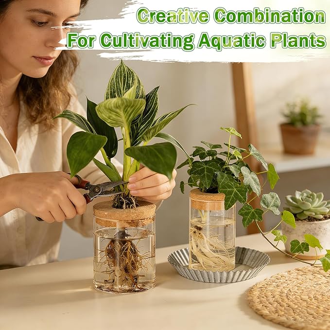 12 Pack Plant Propagation Station with Hole Lid Plant Propagation Jars Plants Plastic Propagations Stations Planter Vase Hydroponic Vases for Home Desktop Office Decoration, 3 Sizes