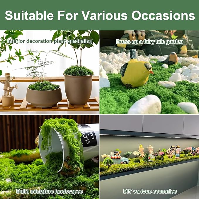 MGLIFEUL 1.5 LBS Artificial Fake Moss for Crafts Plants Indoor with Non-Stick Gloves and Tweezers，Preserved Green Plant Faux Craft Moss Musgo for Fairy Garden Outdoor Home Decorating Model Making