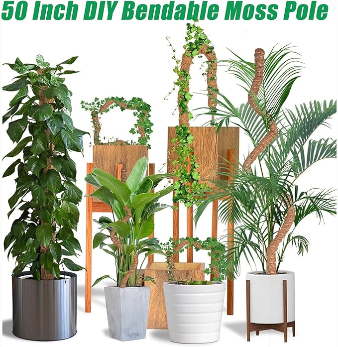 3-Pack Tall Moss Poles (50 Inch) - Coco Coir Plant Support Sticks for Potted Plants (Monstera, Pothos, Philodendron)