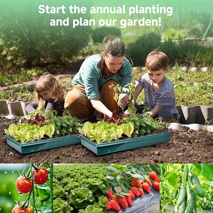 Adawook Seed Starter Trays with Grow Lights, Color Change Grow Lights for Seed Starting Kit, 3 Timming Set, Indoor Plant Growing Kit for Gardeners, Germination Trays Kits, Gardening Gifts (60 Cells)