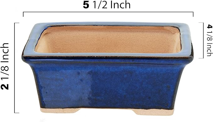 Leaves and Soul Bonsai Kit – Blue Ceramic Pot Set with Soil Mix, 160ft Training Wire, Cutter, Fertilizer & Storage Bag | Complete Beginner Bonsai Starter Set