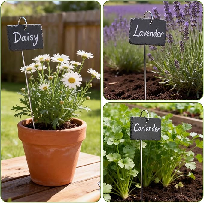 KINGLAKE Large Slate Plant Labels - 10 Pcs Slate Garden Plant Labels Tags with Metal Stakes and Chalk Pencils Tall Garden Plants Markers Signs for Outdoor Plants Vegetables Herb Flower Bed Pots