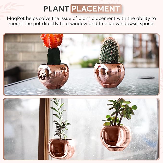 Magnetic Plant Pot - Unique Window Planter for Succulents, Indoor & Outdoor Greenery - Self-Adhesive Magnet Attachment, Drainage Holes, Detachable Reservoir - Rose Gold
