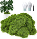 MGLIFEUL 12OZ Artificial Fake Moss for Crafts Plants Indoor with Non-Stick Gloves and Tweezers，Preserved Green Plant Faux Craft Moss Musgo for Fairy Garden Indoor Outdoor Home Decorating Model Making