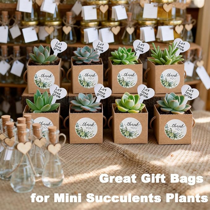 HejVulkan 40 Pack Succulent Wrap Bags Set with 2.5 inch Succulent Gift Box, Heart Plant Tags, Thank You Stickers and Mark Pen, Great Party Favor Gifts for Wedding, Baby Showers, Bridal Showers
