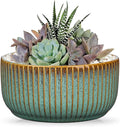 Plant Pots Indoor with Drainage Hole 6 inch Ceramic Plant Pot Grey Blue Succulent Pot Small Round Planters for Indoor Outdoor Plants Bonsai Bowl Decorative Flower Pots for Orchid Cactus Snake Plant
