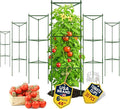 Tomato Cage - Large Trellis Stakes and Plant Support Structures for Vegetables and Climbing Plants - Tall Tomato Cages for Garden, Pots, Raised Garden Bed Outdoor Supplies (6 Pack - Up to 48")