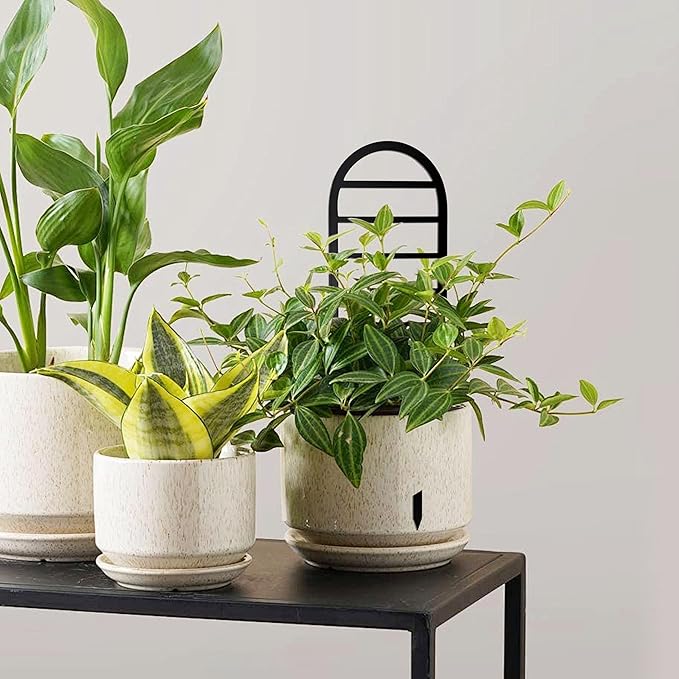 Metal Ladder Arch Indoor Plant Trellis,14.96 inch Metal Plant Trellis for Climbing Plants Indoor.Rustproof House Plant Support for Pothos Hoya Ivy Flower