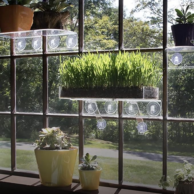 Window Garden Double Veg Ledge - Window Shelf for Plants, Clear Acrylic Shelves - Suction Cup Indoor Plant Holder - Glass Window Sill Extender for Microgreens Kit, Planters (1 Pack)
