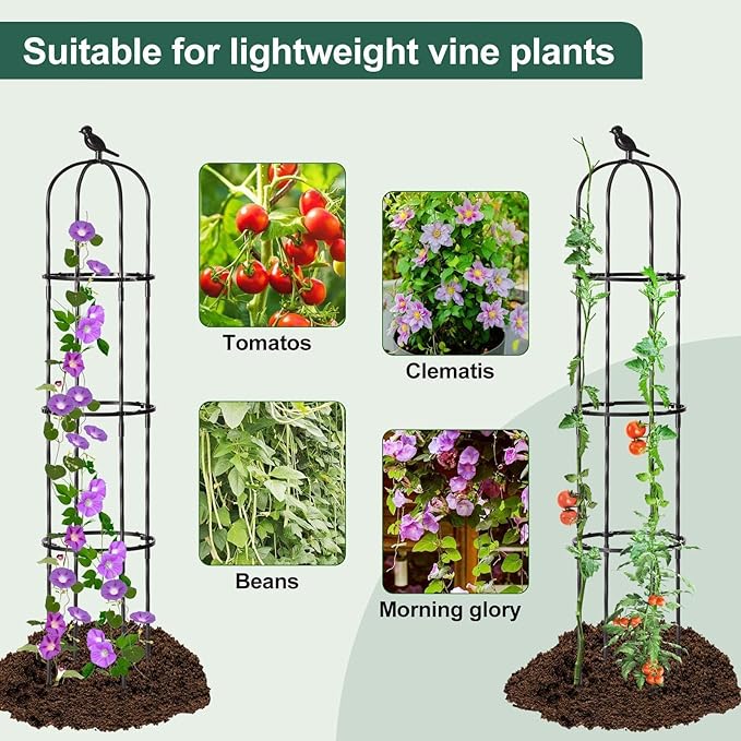 FOLLOOK Garden Trellis for Climbing Plant Outdoor, 67" Tall Round Cucumber Trellis Plant Supports for Vines Flower Climbing Rose Clematis Vegetable Tomato Trellis, 1PC, Black
