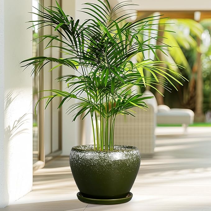 Ceramicfor 8 Inch Plant Pot - Ceramic Planter with Drainage Hole and Saucer, Modern Flower Pot for Glazed Indoor Plants Outdoor, Dark Green