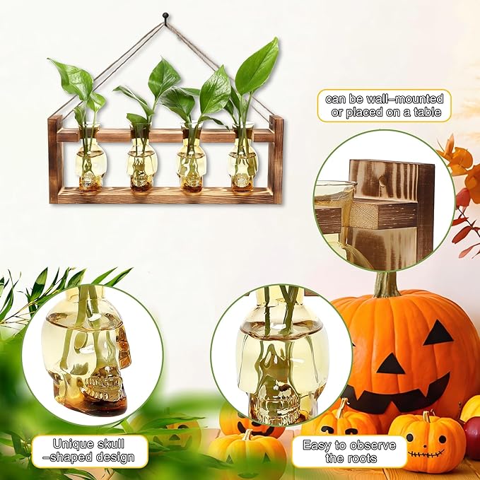 Plant Propagation Stations Halloween Skull Plant Terrarium Kit Glass Vases Gift for Father Air Planter Home Office Decor