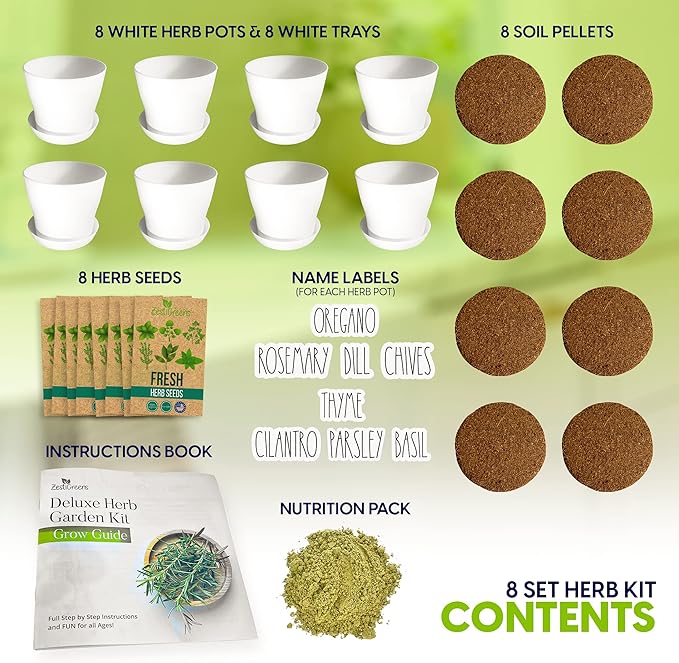 Deluxe Indoor & Outdoor Herb Garden Kit – 8 or the Most Popular Culinary Herbs with Pots & Soil for Windowsill or Patio Growing