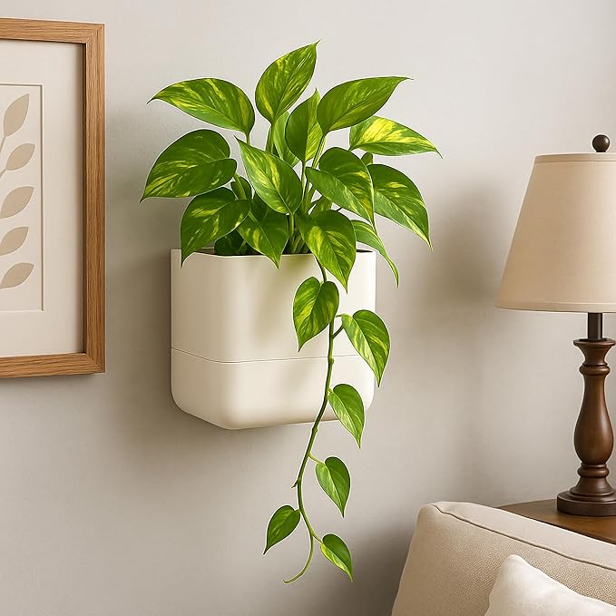 Phoenix Vine 6.5 Inch Wall Mounted Self-Watering Planter Pot for Indoor Houseplants and Herbs | Hanging Planter for Window Sills, Bathroom Walls, Home & Office Décor, Oatmeal, Set of 2, 01-C-G-2