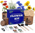 Indoor Daisy Garden Starter Kit, 4 Flower Seeds Growing into Shasta Daisy, Cornflower, Sunflower, Zinnia, Including Complete Gardening Tools for Women Men & Beginners