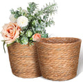 BESPORTBLE 2pcs Woven Rattan Flower Basket for Indoor Plants Decorative Plant Baskets Design Multi-Functional Storage
