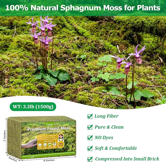 Legigo 3.3LBS Sphagnum Moss for Plants, 60QT Natural Orchid Moss Potting Mix Dired, Green Forest Plant Moss for Orchid Repotting Carnivorous Succulents Indoor Potted Plants Gardening and Reptiles