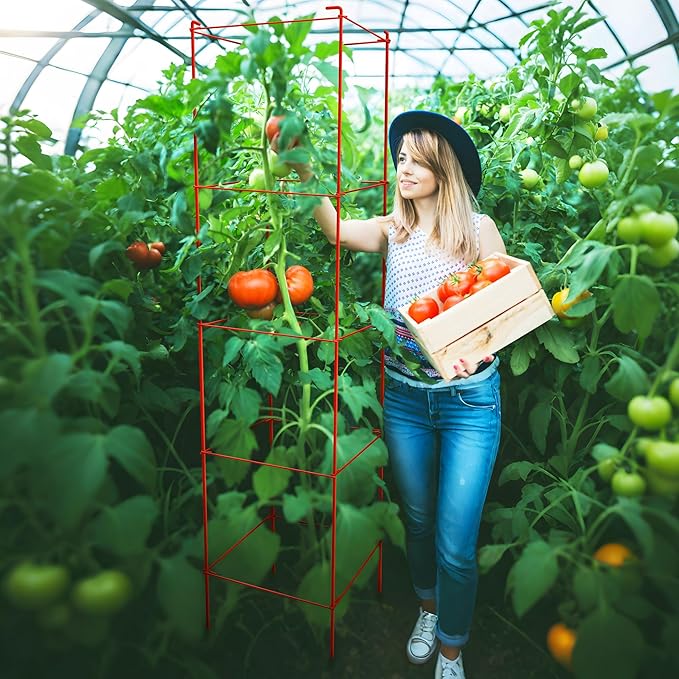 Thealyn Tomato Cages 6 Packs 57 Inches (H) Plant Stand with 164 Feet Twist Ties, Heavy Duty Garden Plants Support for Tomatoes, Cucumber, and Other Climbing Plants (Red)