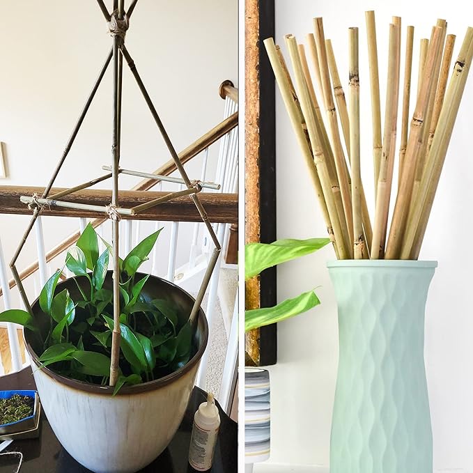 50Pcs Garden Stakes, 0.32”/16 Inch Bamboo Sticks，Natural Plant Stakes for Indoor and Outdoor Plants，Poles for Tomatoes, Beans, Potted Plants