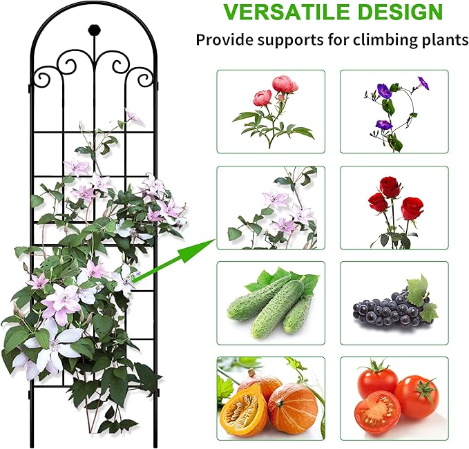 LZRS 4 Pack 71x20in Rustic Iron Arch Decoration Garden Trellis with Black Metal Coating – Perfect for Supporting Climbing Plants Outdoor, Roses, Vines, Flowers, and Vegetables.