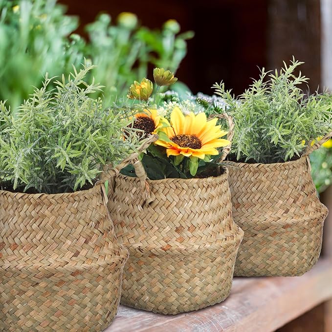 Qunclay 4 Pcs Woven Seagrass Baskets Belly Basket Folding Boho Natural Plant Pot with Handles Round Decorative Wicker Large Indoor Planter for Home Outdoor Tree Planters Decor (XXS,6.3''dx5.5''h)