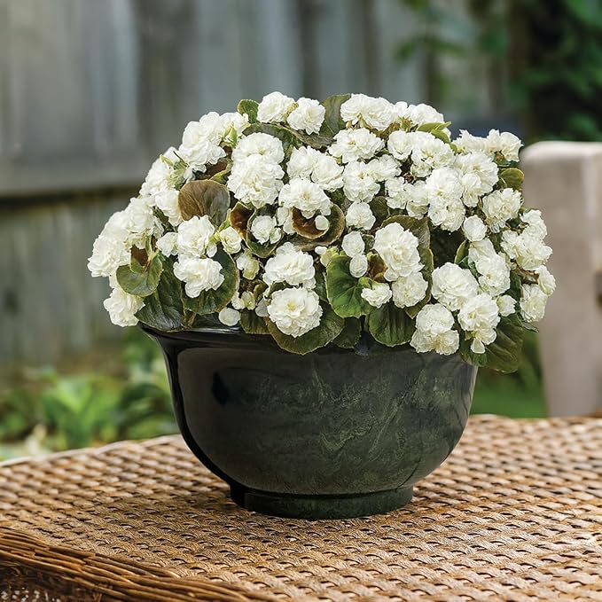 Classic Home and Garden Venetian Deep Bowl 12.5" Planter, Green Granite