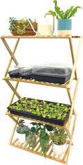 Ferry Morse Plant Stand - Multi-Tier Seed Starting Station for Seedlings - Indoor - Bamboo