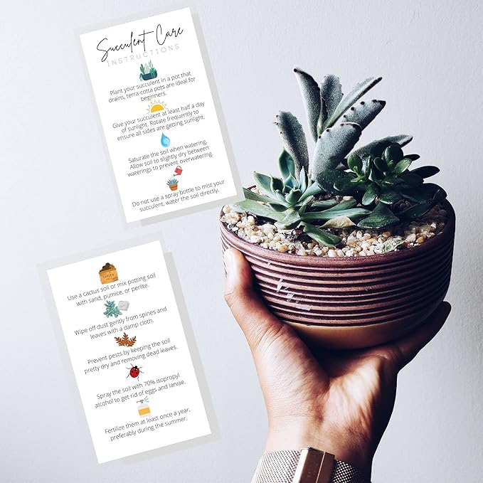 Succulent Care Instruction Cards | 50 Pack | 2x3.5” in Business Card | Succulent Care Cards | Plant Care Guide for House Sitter, Neighbor, Friend | White Card with Colored Icon