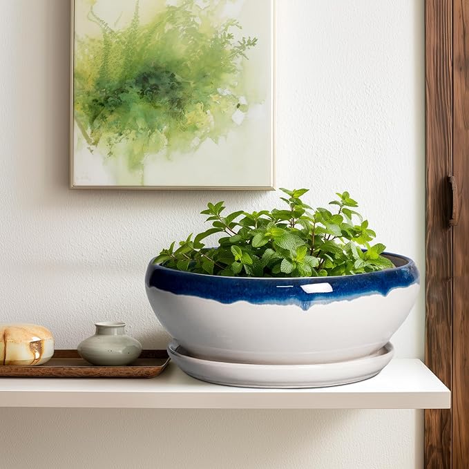 SQOWL Bonsai Tree Pots - 12 Inch Ceramic Succulent Planters, Large Bonsai Pot with Drainage Hole and Tray, Shallow Planter Indoor, Bowl Round Planter, Home Decor, Plant Lover Gift, Blue Off-White