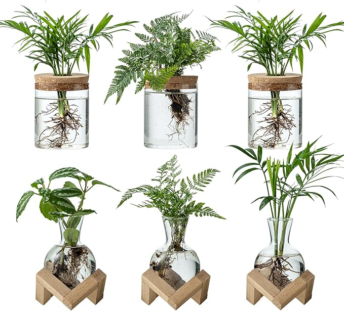 Plant Propagation Station, 2 Style Glass Planter Terrarium Set for Hydroponic Plants | Home Office Tabletop Decor, Gardening Gifts for Women, Mom, Plant Lovers (6)
