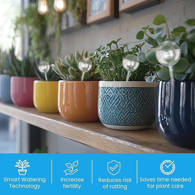 Little Green Leaf Automatic Plant Watering Globes Self Watering Planter Inserts (Set of 6) | Hands Free Clear Glass Bulbs | Planter Spikes to Support Indoor & Outdoor Plant Health (200ml)