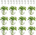 NUPTIO Wall Hanging Planters Terrarium: 12 Pcs Clear Glass Wall-Mounted Vases for Indoor Office Garden Living Room - Oblate Plant Pots Hydroponic Containers Propagation Stations for Flowers