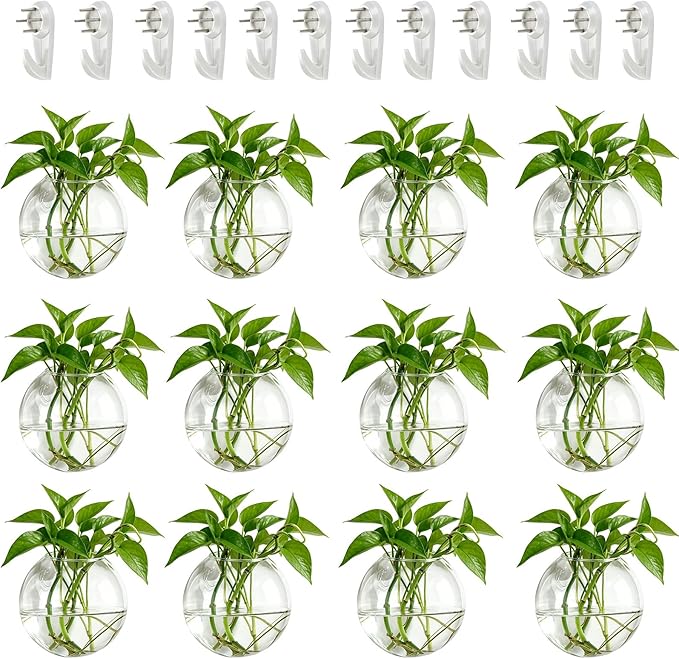 NUPTIO Wall Hanging Planters Terrarium: 12 Pcs Clear Glass Wall-Mounted Vases for Indoor Office Garden Living Room - Oblate Plant Pots Hydroponic Containers Propagation Stations for Flowers