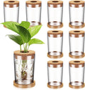 Baderke 9 Packs Propagation Vases for Plants Plastic Plant Propagation Station with Hole Lid and Bamboo Stand Growing in Water Hydroponic Home Office Table Decoration(Stripe Style)