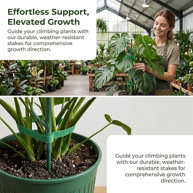 10 Pack Stackable Monstera Plant Support Stakes, Plant Sticks Support Tall for Pothos Climber, Plant Support Garden Stakes for Indoor & Outdoor Pots, Essential Monstera Support for Climbing Vines