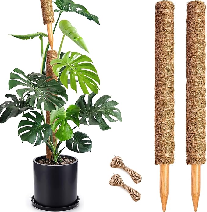 Soupiar 2 Pack 22 Inch Stackable Moss Pole - Thick & Sturdy Natural Coir Totem Plant Support & Garden Stakes for Monstera & Pothos, Indoor Climbing Vining Houseplants, 38" H Max