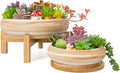 Succulent Pots - 7.3/10 Inch Large Plant Pot Ceramic Bonsai Planter with Drainage Tray, Shallow Planters for Succulents Cactus Flower Small Plants Birthday Gifts for Women