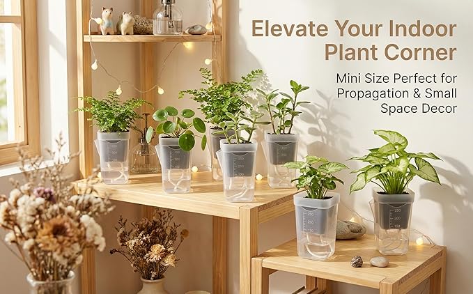 12 Pack 2.5 Inch Self Watering Pots for Indoor Plants, Clear Plastic Planters with Water Level Indicator, Semi Hydroponic Propagation Station for Succulents, African Violet and LECA