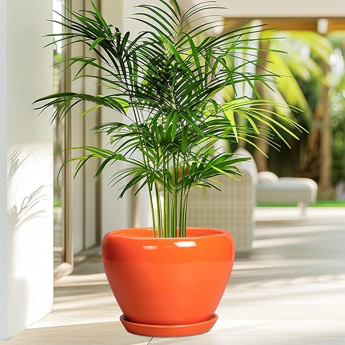 Ceramicfor Indoor Plant Pot 8 Inch - Ceramic Plant Pot with Drainage Hole and Saucer, Glaze Decorative Modern Round Planter for Outdoor Plants, Housewarming Gifts, Office Home Garden Decor, Orange