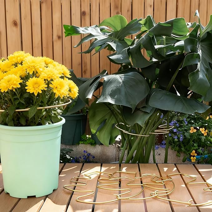 STARVAST 10PCS Durable Monstera Plant Stem Support Stake, Plant Support Kit for Indoor Botanicals, Cactus Stabilizers, and Turtle Shell Climbers - Ideal for Plant Enthusiasts(Gold)