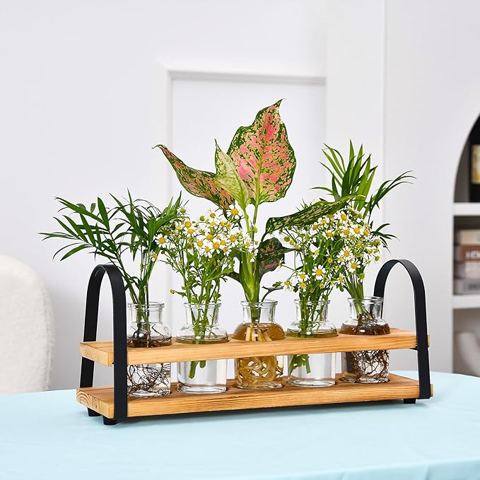 VIKEYHOME Plant Propagation Station with Wood Stand, Desktop Terrarium for Hydroponic, Flower Vase for Home, Kitchen, Office Decor, Plants Lover Gifts