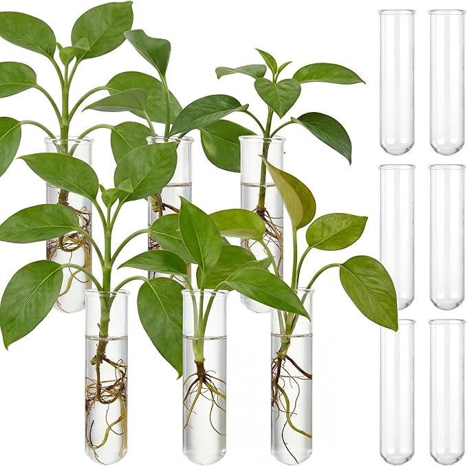 Kingdder 12 Pcs Glass Plant Propagation Tubes Station Accessories Replacement Glass Test Tubes Tiered Planters Wall Terrarium for Home Office Plant Hanger Flower Vases Wall Decor Hydroponic Cuttings
