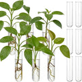 Kingdder 12 Pcs Glass Plant Propagation Tubes Station Accessories Replacement Glass Test Tubes Tiered Planters Wall Terrarium for Home Office Plant Hanger Flower Vases Wall Decor Hydroponic Cuttings