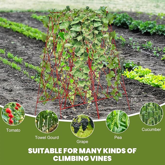 Cucumber Trellis 2 Pack, Foldable A-Frame Garden Trellis for Raised Bed Garden Grow Support with Plant Support Clips, Twist Ties, Plastic Ties, for Cucumber,Tomato, Climbing Plants and Flowers
