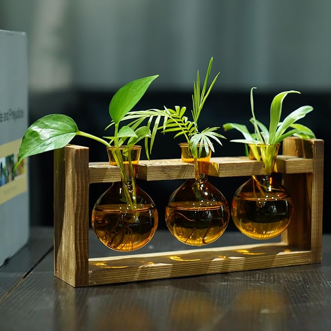 Kingbuy Glass Plant Terrarium Propagation Station - 3 Bulb Colored Vases with Retro Wood Stand Indoor Garden Planter - Wall Mount Desktop Decor for Home Kitchen Wedding, Plant Lover Gift, Amber