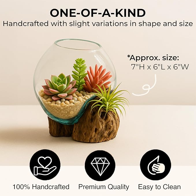 Cape Craftsmen 7" Hand-Blown Blue Tinted Bubble Glass On Natural Teak Driftwood Terrarium Kit | Home Décor Indoor Planter with Stand | Pot for Succulent and Plants