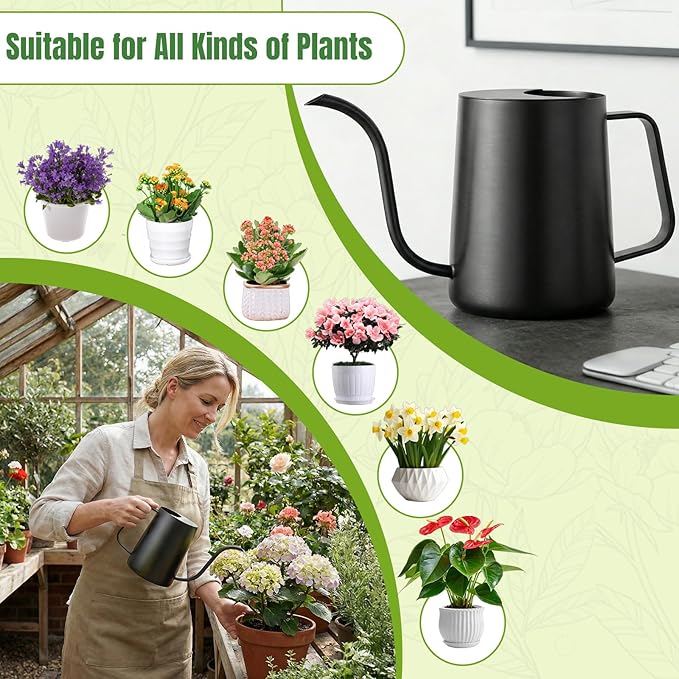 34oz/1000ml Watering Can Indoor Plants with Long Spout, Plant Watering Can for Ergonomic Handle, Rust-Resistant & Durable 304 Stainless Steel, Office & Home (Black)